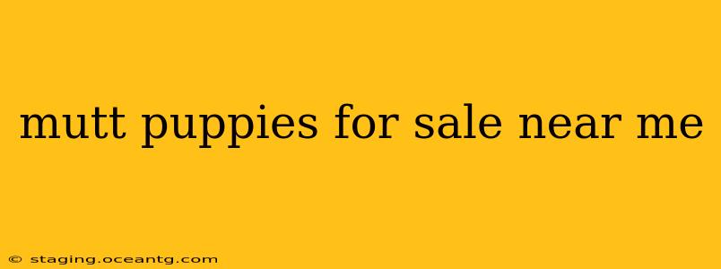 mutt puppies for sale near me