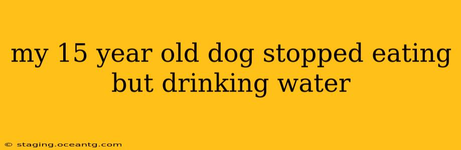 my 15 year old dog stopped eating but drinking water