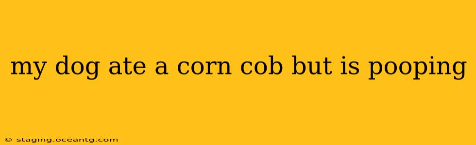 my dog ate a corn cob but is pooping