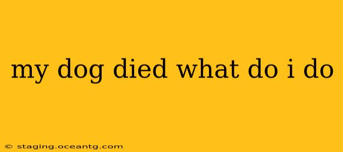 my dog died what do i do