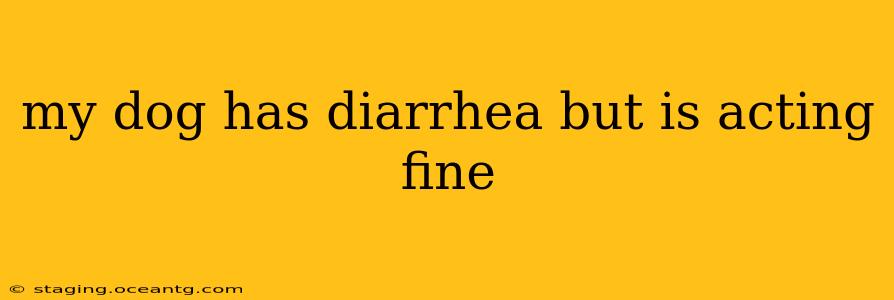 my dog has diarrhea but is acting fine