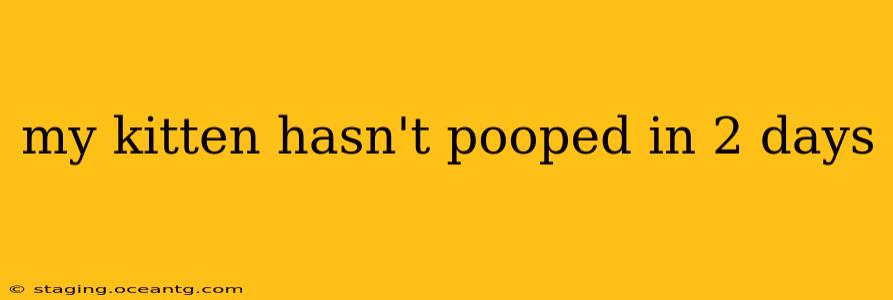 my kitten hasn't pooped in 2 days