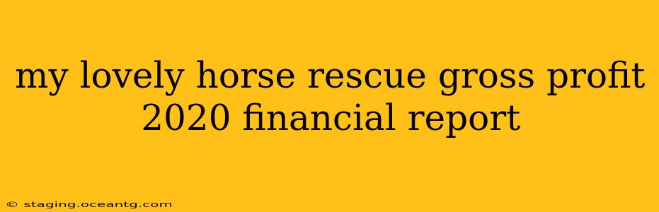 my lovely horse rescue gross profit 2020 financial report