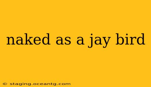 naked as a jay bird