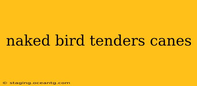 naked bird tenders canes naked bird tenders canes