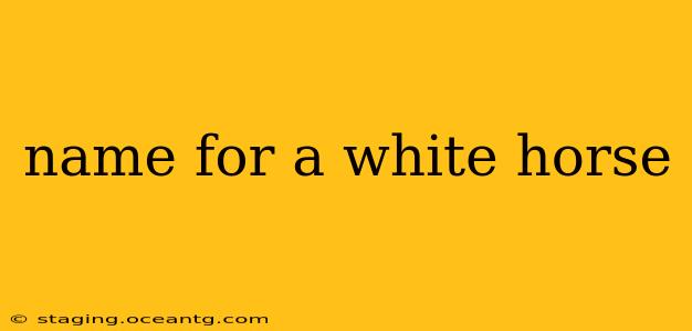 name for a white horse