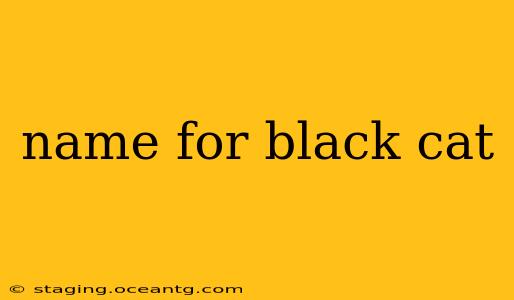 name for black cat