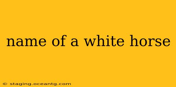 name of a white horse