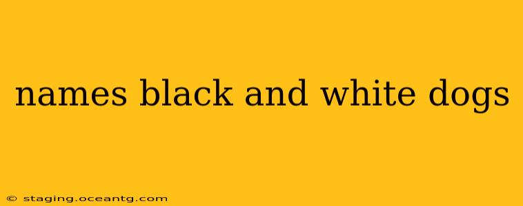names black and white dogs