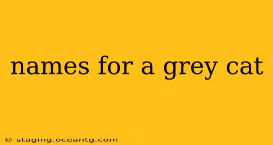 names for a grey cat