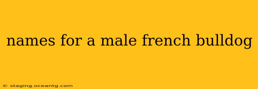 names for a male french bulldog