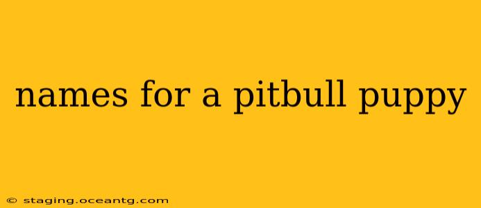 names for a pitbull puppy