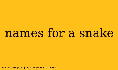 names for a snake