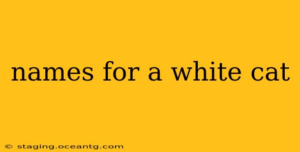names for a white cat