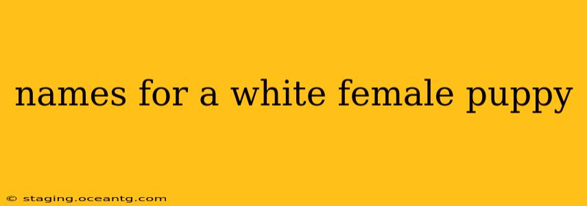 names for a white female puppy