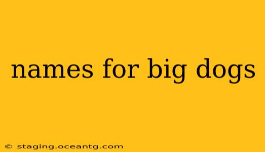 names for big dogs