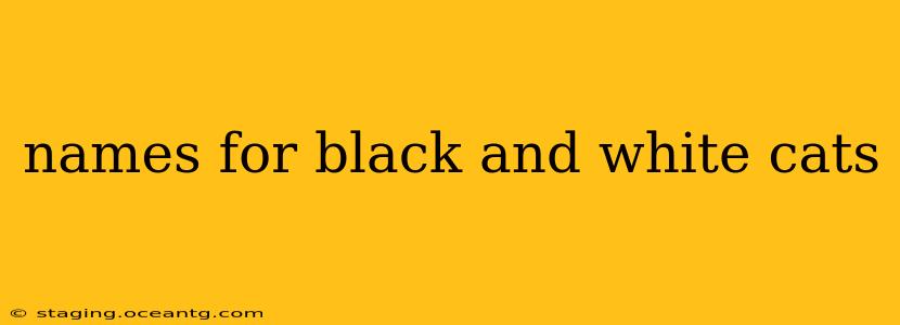 names for black and white cats