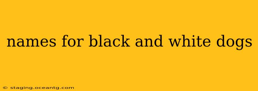 names for black and white dogs
