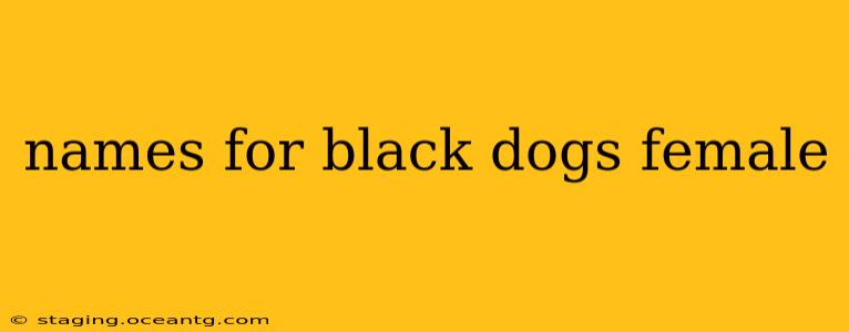 names for black dogs female
