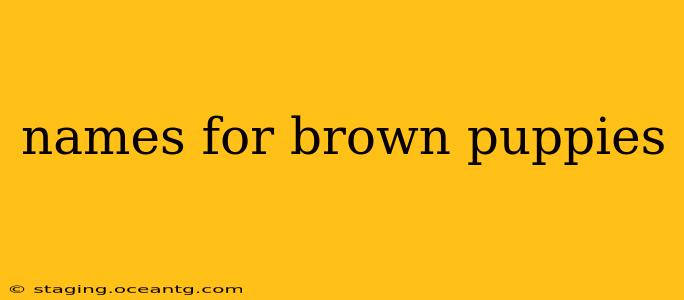names for brown puppies
