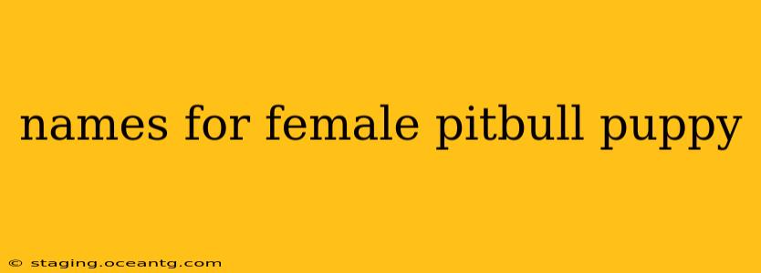 names for female pitbull puppy