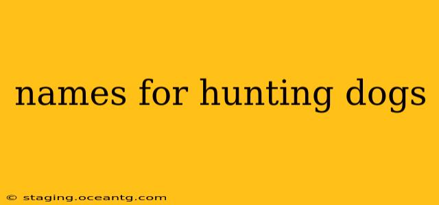 names for hunting dogs