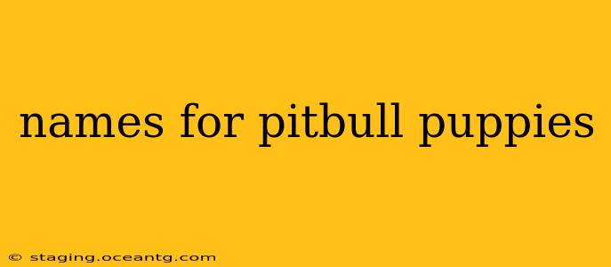 names for pitbull puppies