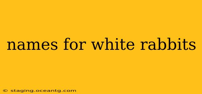 names for white rabbits