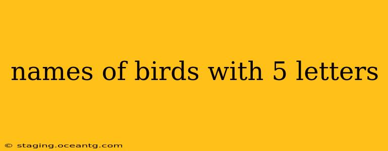 names of birds with 5 letters