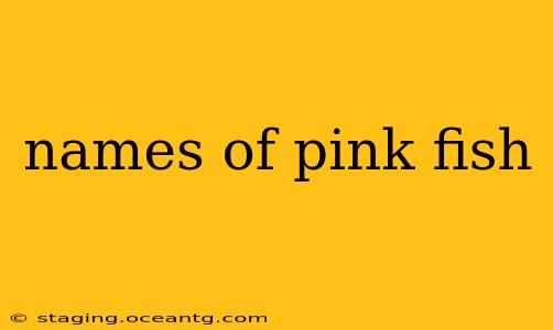 names of pink fish