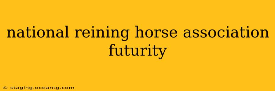 national reining horse association futurity
