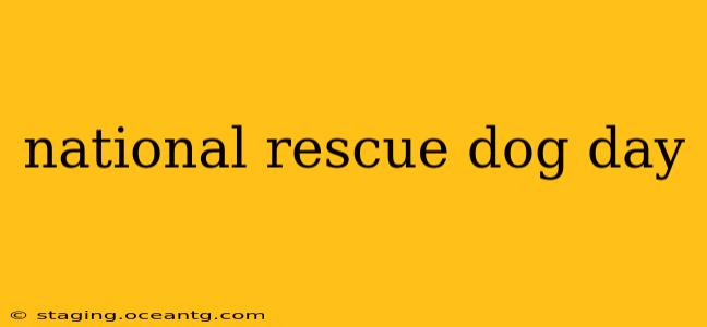 national rescue dog day