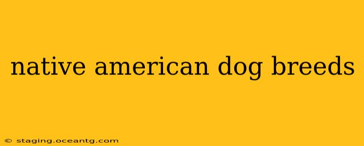native american dog breeds