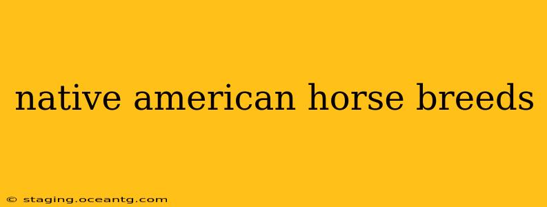 native american horse breeds