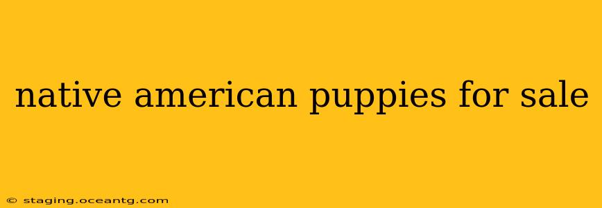 native american puppies for sale