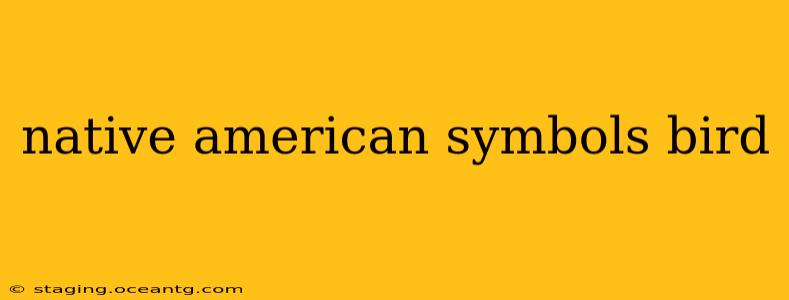 native american symbols bird