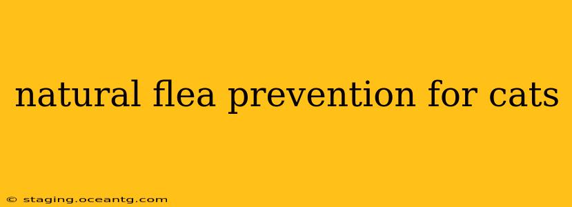 natural flea prevention for cats