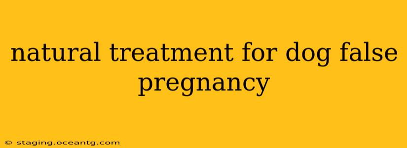 natural treatment for dog false pregnancy