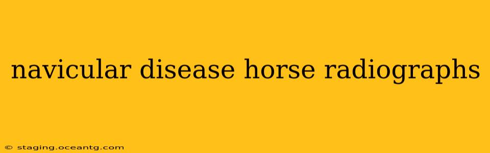 navicular disease horse radiographs