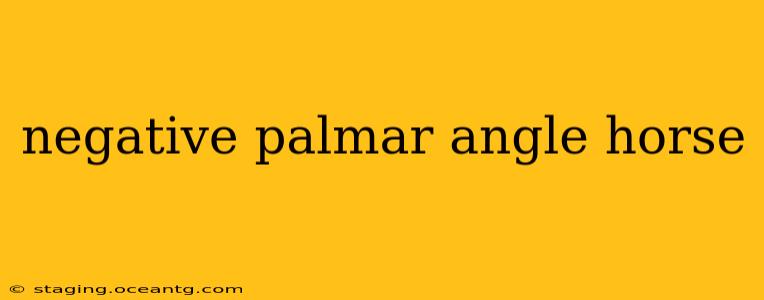 negative palmar angle horse