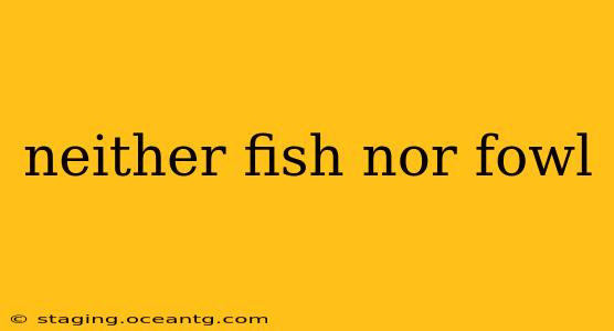 neither fish nor fowl