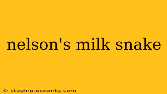 nelson's milk snake