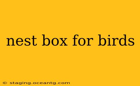 nest box for birds