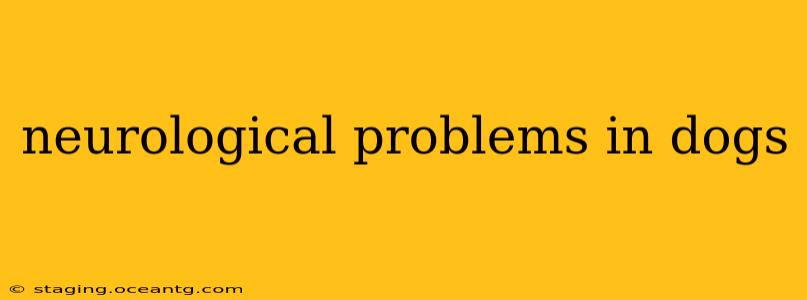 neurological problems in dogs
