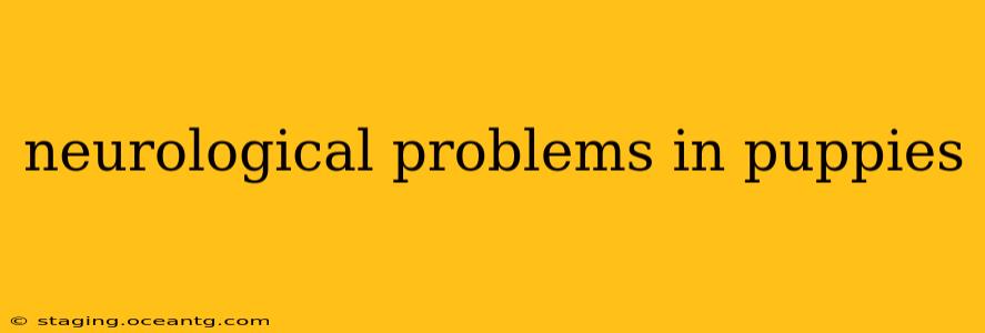 neurological problems in puppies