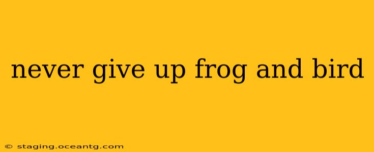 never give up frog and bird