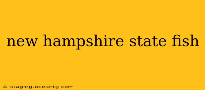 new hampshire state fish