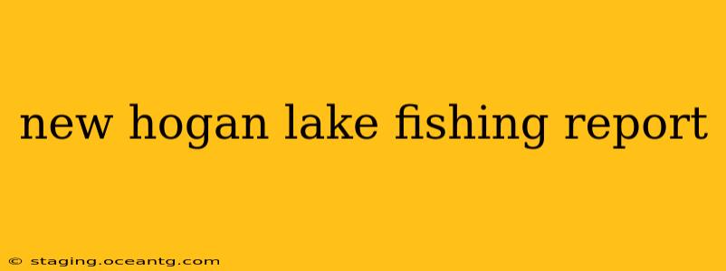 new hogan lake fishing report