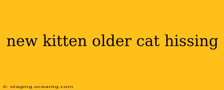 new kitten older cat hissing