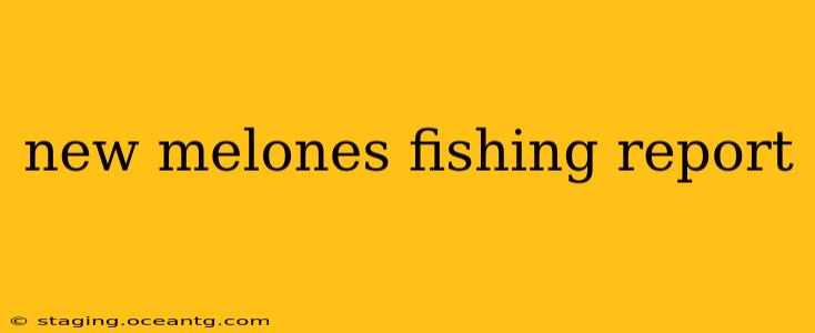 new melones fishing report